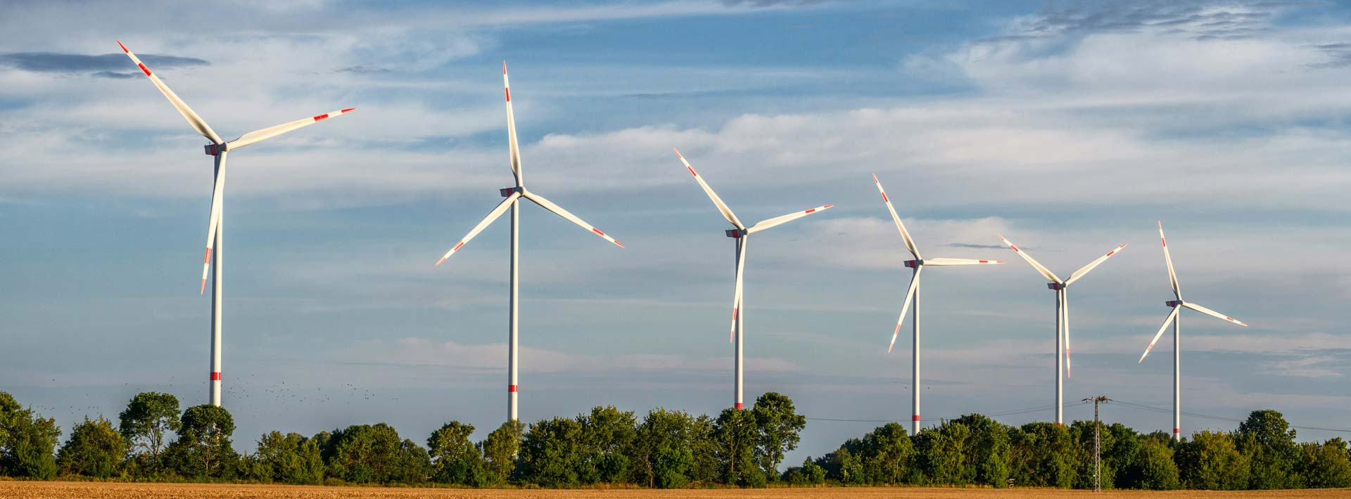 Ansicht des Windparks Plauerhagen